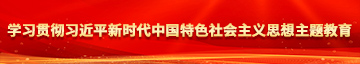 大坤巴塞进逼学习贯彻习近平新时代中国特色社会主义思想主题教育